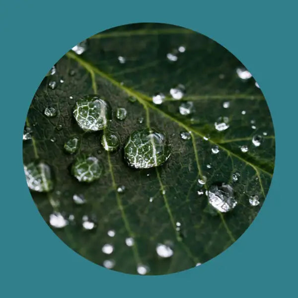 Are all green energy tariffs as green as they seem?