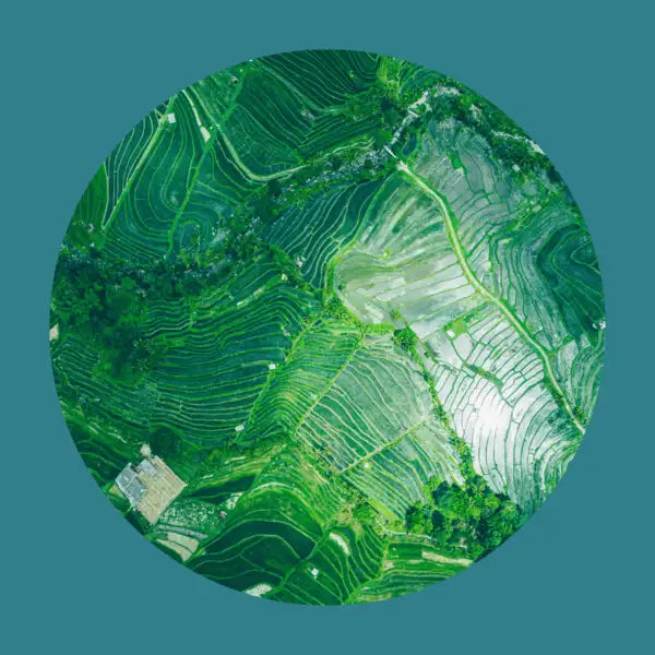 What is greenwashing and why does it matter?