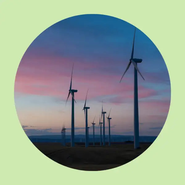 How to reduce the carbon footprint of your business