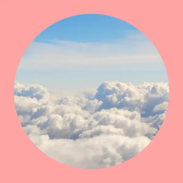 What Is an Environmental Management System?