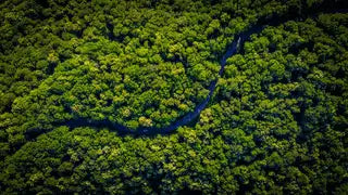 Environmental consultancy for SMEs