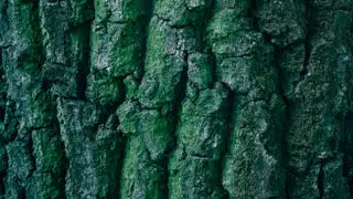 Green Business environmental training for SMEs
