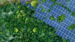 Green Business services for SMEs