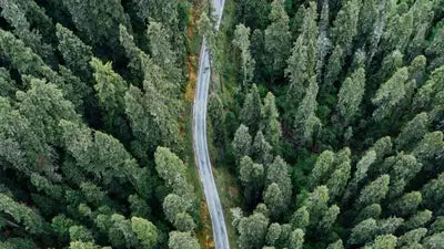 Sustainability solutions for transport and logistics sector small businesses