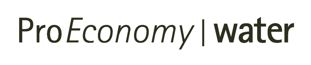 Pro Economy Water Logo
